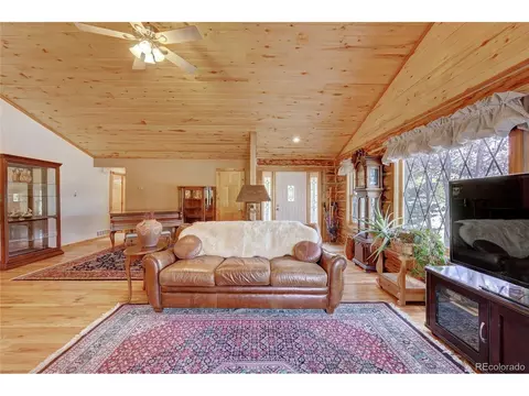 38 Quartz Cir, Bailey, CO 80421 photo 9