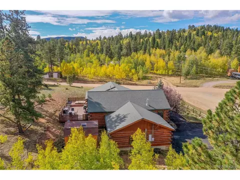 38 Quartz Cir, Bailey, CO 80421 photo 31