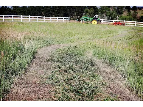 20525 Eagle Feather Ln, Elbert, CO 80106 photo 14