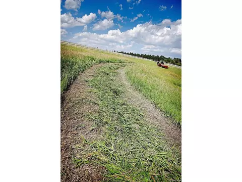 20525 Eagle Feather Ln, Elbert, CO 80106 photo 15