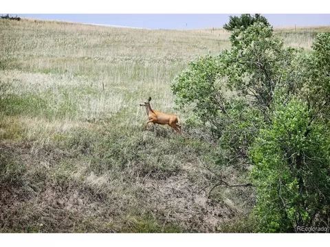 20525 Eagle Feather Ln, Elbert, CO 80106 photo 10
