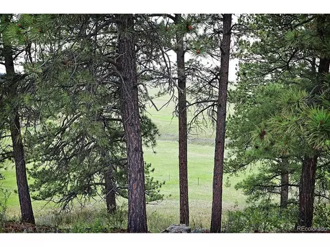 20525 Eagle Feather Ln, Elbert, CO 80106 photo 11