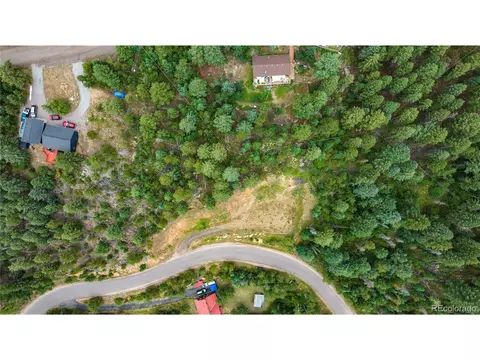10126 Crest View Dr, Morrison, CO 80465 photo 11