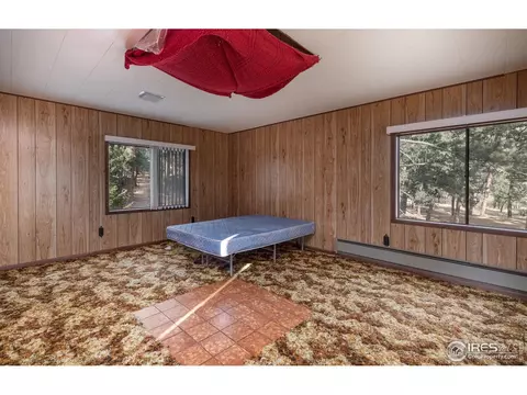 15 Balsam Dr, Lyons, CO 80540 photo 13