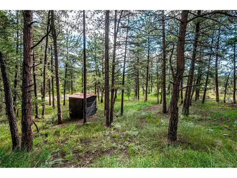 33613 Kerr Rd, Pine, CO 80470 photo 17