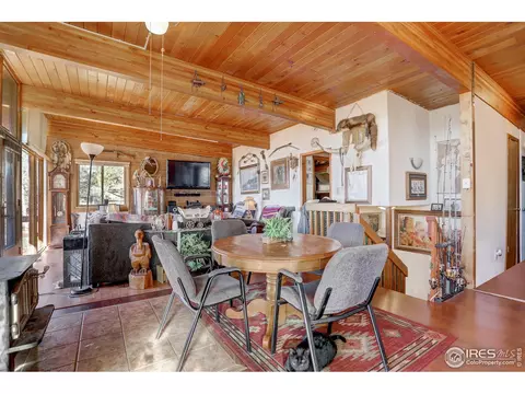 96 Howe Ct, Black Hawk, CO 80422 photo 10