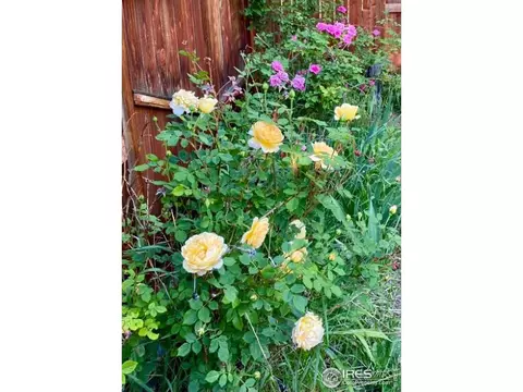 2280 Forest Ave, Boulder, CO 80304 photo 36