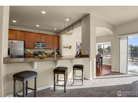 827 Tailings Dr, Monument, CO 80132 photo 12