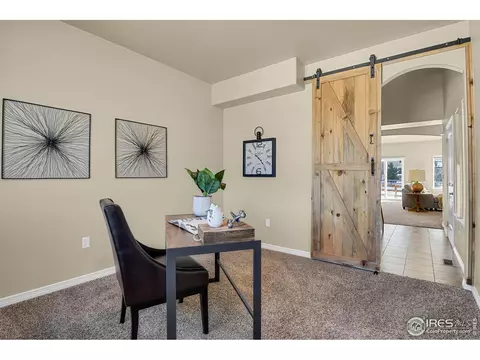 827 Tailings Dr, Monument, CO 80132 photo 18