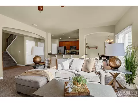827 Tailings Dr, Monument, CO 80132 photo 8