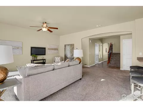 827 Tailings Dr, Monument, CO 80132 photo 6