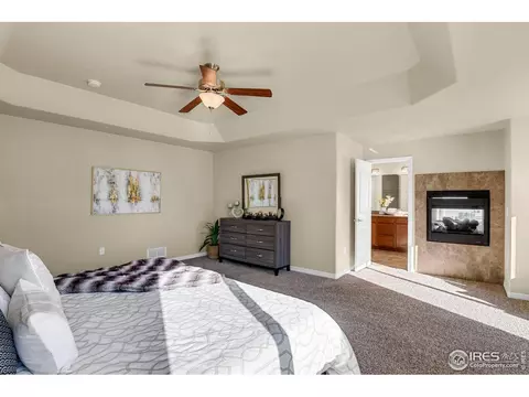827 Tailings Dr, Monument, CO 80132 photo 22