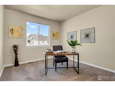 827 Tailings Dr, Monument, CO 80132 photo 17