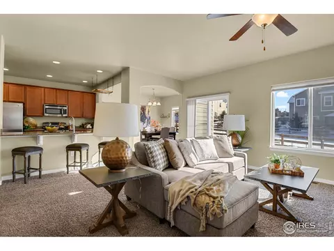 827 Tailings Dr, Monument, CO 80132 photo 7