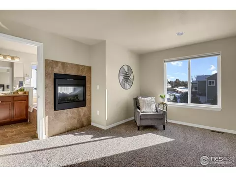 827 Tailings Dr, Monument, CO 80132 photo 25