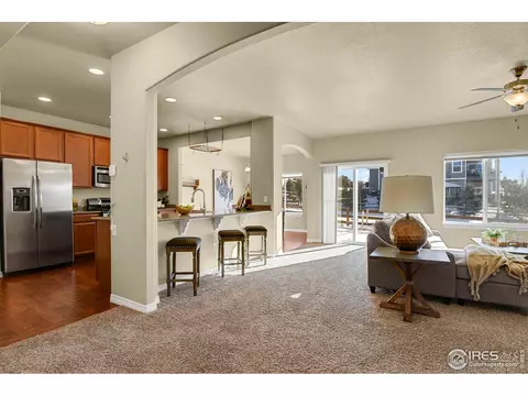 827 Tailings Dr, Monument, CO 80132 photo 4