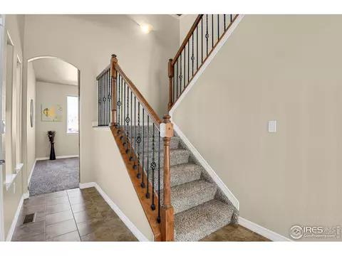 827 Tailings Dr, Monument, CO 80132 photo 21