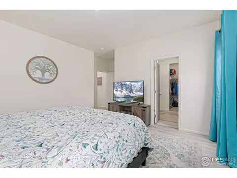 1094 Long Meadows St, Severance, CO 80550 photo 11
