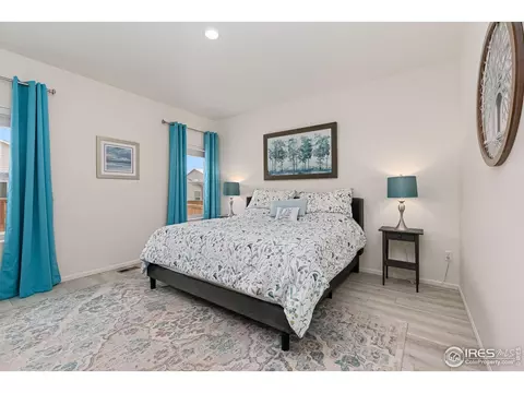 1094 Long Meadows St, Severance, CO 80550 photo 10