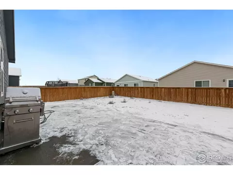 1094 Long Meadows St, Severance, CO 80550 photo 18
