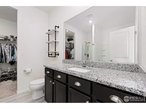 1094 Long Meadows St, Severance, CO 80550 photo 12