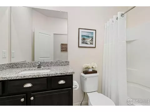 1094 Long Meadows St, Severance, CO 80550 photo 15