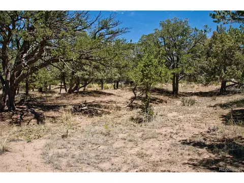 1161 Brookview Way, Crestone, CO 81131 photo 17