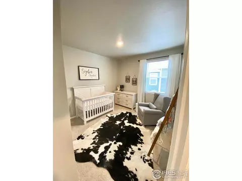 178 Haymaker Ln, Severance, CO 80550 photo 17