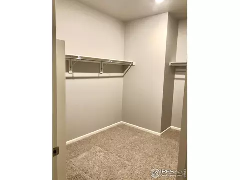 178 Haymaker Ln, Severance, CO 80550 photo 14