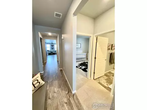 178 Haymaker Ln, Severance, CO 80550 photo 9