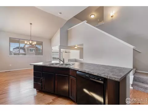 1619 First Light Dr, Windsor, CO 80550 photo 4