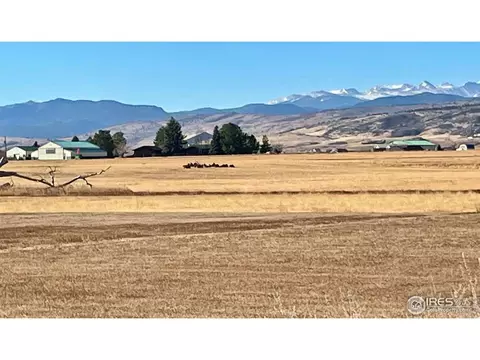1253 Paramount Dr, Berthoud, CO 80513 photo 36
