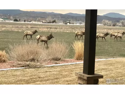 1253 Paramount Dr, Berthoud, CO 80513 photo 35