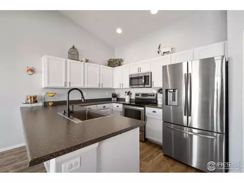 981 Axis Dr, Severance, CO 80550 photo 9