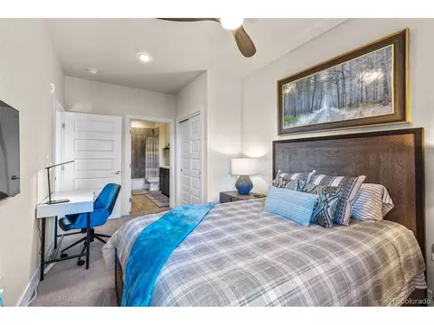235 E La Bonte, Dillon, CO 80435 photo 30