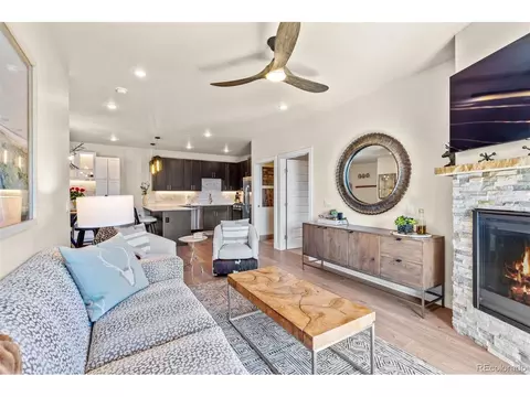 235 E La Bonte, Dillon, CO 80435 photo 13