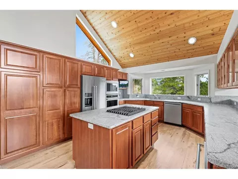 349 Royal Ridge Dr, Bailey, CO 80421 photo 15