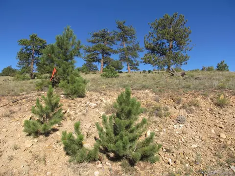 5082 Arikara Trl, Hartsel, CO 80449