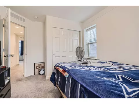 10287 E 56th Pl, Denver, CO 80238 photo 23
