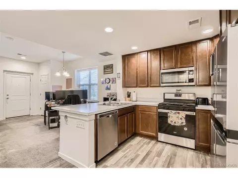 10287 E 56th Pl, Denver, CO 80238 photo 8