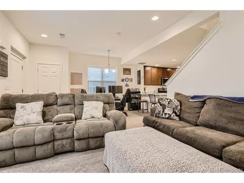 10287 E 56th Pl, Denver, CO 80238 photo 7