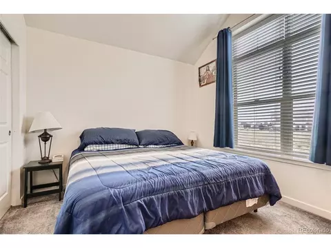 10287 E 56th Pl, Denver, CO 80238 photo 17