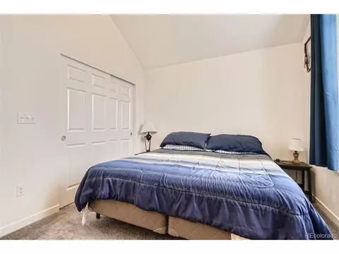 10287 E 56th Pl, Denver, CO 80238 photo 15