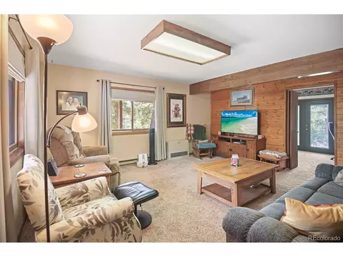 34506 Highview Dr, Pine, CO 80470 photo 22