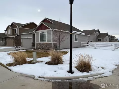 492 Havenbrook Dr, Windsor, CO 80550 photo 3
