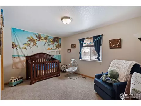 830 Mount Massive St, Berthoud, CO 80513 photo 22