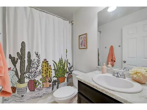 20027 E 48th Pl, Denver, CO 80249 photo 21