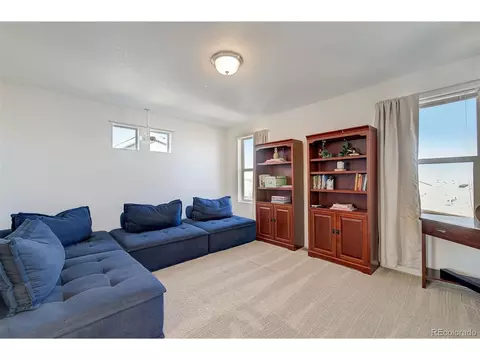 20027 E 48th Pl, Denver, CO 80249 photo 19