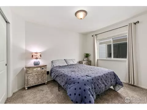1738 Thrive Dr, Windsor, CO 80550 photo 14