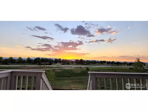 1738 Thrive Dr, Windsor, CO 80550 photo 23